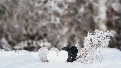 Любовный гороскоп: как любят люди, рожденные зимой ❄️ | theGirl