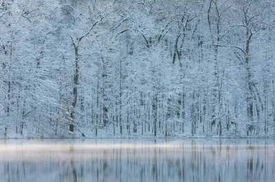 Настроение «зима»: лучшие фото природы