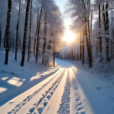 Зима во всей её красе, реальные …» — создано в Шедевруме