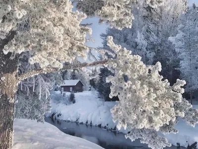 Красивые зимние пейзажи