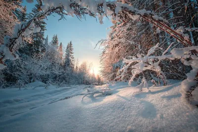 Зима, красивое чудо света. — Радмир Исмагилов на TenChat.ru