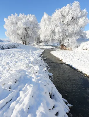 Зима мороз фото