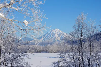 Зима на камчатке фото фотографии