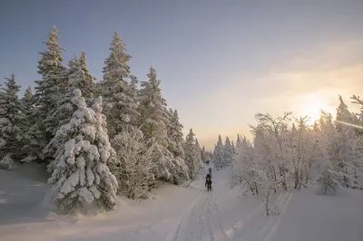 Зима на урале фото