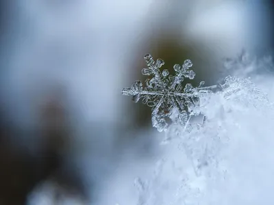 Зима пришла :: Ната Волга – Социальная сеть ФотоКто