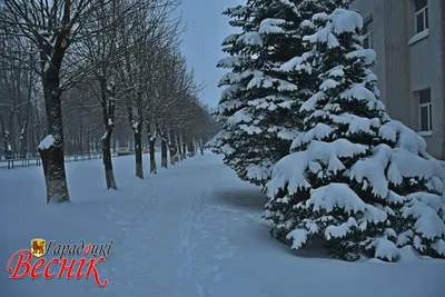 Зима пришла в Красноярский край