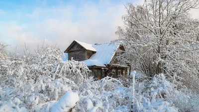 Фотоотчёт «Веселая пора, резвится детвора! Зима пришла к нам в гости! Ура!  Ура! Ура!» (9 фото). Воспитателям детских садов, школьным учителям и  педагогам - Маам.ру