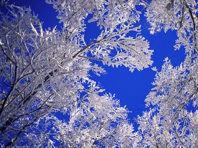 Зима в горах! Самые красивые места захватили участники конкурса  #Winterspiration - Блог Answear.ua