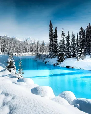 Настроение «зима»: лучшие фото природы | МОЯ ПЛАНЕТА | Дзен