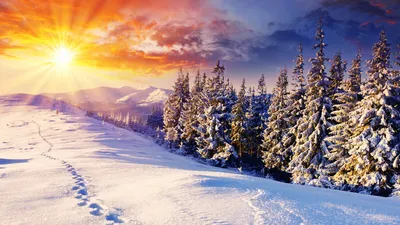 Профессиональные фотографии пейзажей зима: фото, изображения и картинки