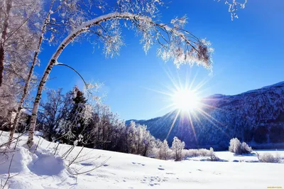 Зима самые красивые фото фотографии