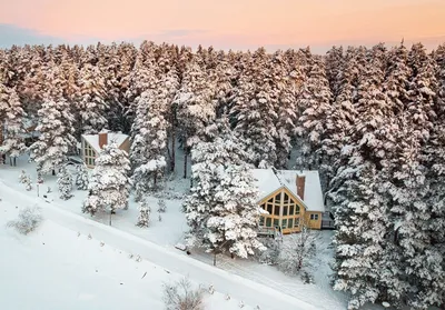 Зима в фотообъективе: самые красивые зимние фото - Delfi RU