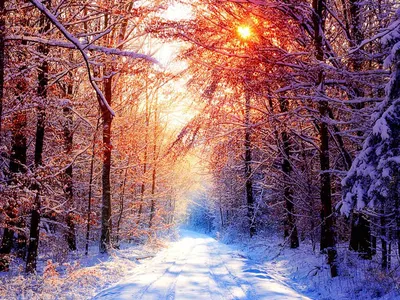 Самые красивые зимние пейзажи природы - 71 фото