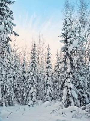 Фантастическая зима: снег великолепия
