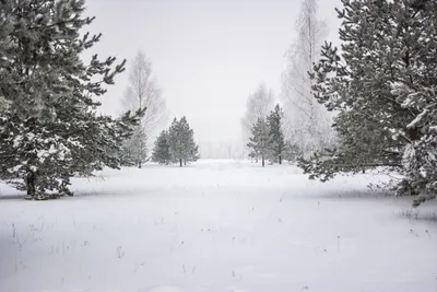 Великолепные снежные фотографии