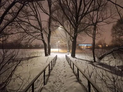 Зимняя красота на фото: снег и его обаяние