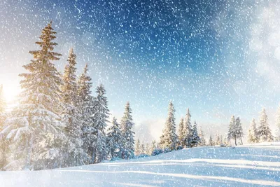 Чудесное изображение снежной зимы