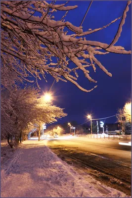 Зимний пейзаж на фото с неповторимым снегом