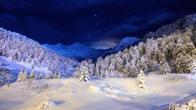Фото снега и зимы, чтобы вдохновиться ее красотой
