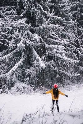 Увлекательные зимние снежные виды