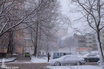 Сегодня седьмой день снежной зимы в Анапе, что происходит в городе | Я живу  в Анапе | Дзен