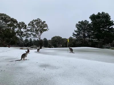 Зима в австралии фото фотографии
