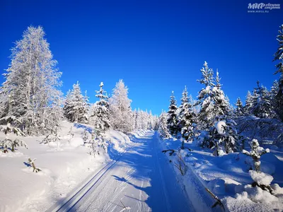 Зимний отдых в Финляндии