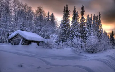 Зима в Финляндии - 71 фото