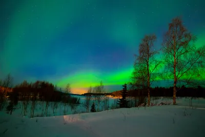 Зимняя Финляндия: удивительные фото природы в ее первозданном виде -  Tochka.net