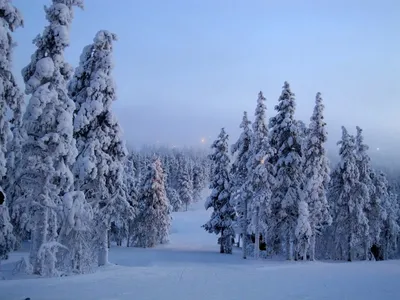 Финляндия – самое популярное зимнее туристическое направление среди  Северных стран | Yle