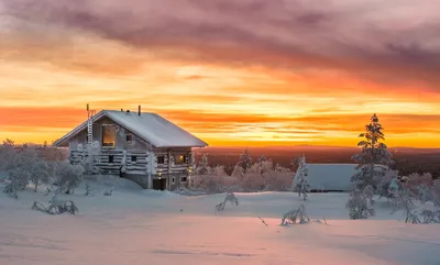 Финская зима (GreenWord.ru)