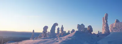 Зима в Финляндии: Зимний лес Стоковое Фото - изображение насчитывающей  свет, туманнейше: 160181644