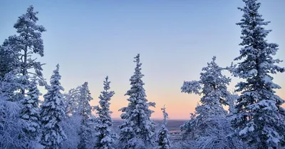 Зимний досуг в Финляндии - Иматра и Лаппеенранта - GoSaimaa