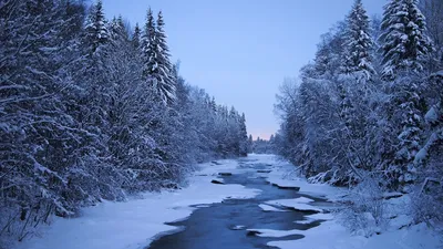 Почему в Финляндии дороги зимой лучше? — DRIVE2