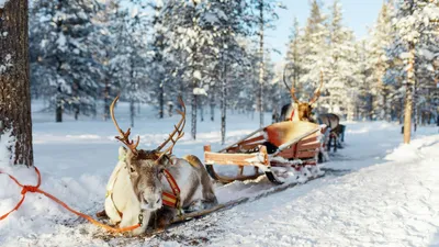 Зимний отдых в Финляндии - Финляндия - УРАЛ - Информационный портал УРФО