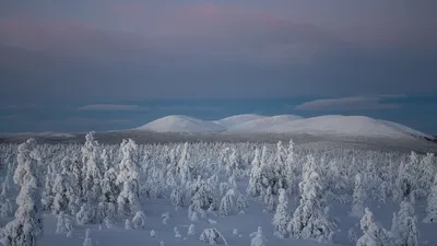 Полярное сияние на севере Финляндии - Tallink