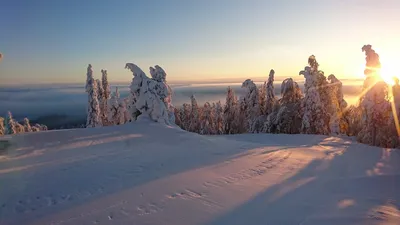 Зимние каникулы в Финляндии на курорте Леви, цены на 2023-2024 год. Подбор  тура