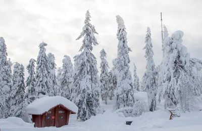 Финляндия зимой - 73 фото