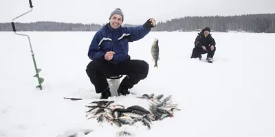 Финляндия , зима» — создано в Шедевруме