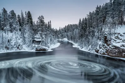 5 советов, чем можно заняться в Финляндии зимой | Тревел Стенд | Дзен