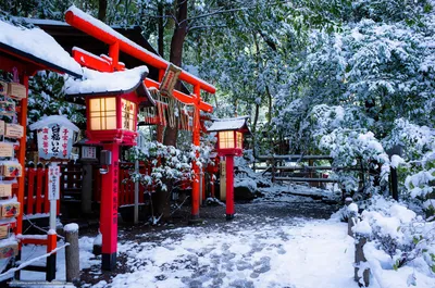 Зима в Японии 2024 (декабрь, январь, февраль), Япония зимой