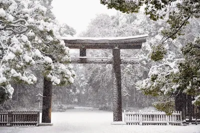 Зима в японии фото фотографии