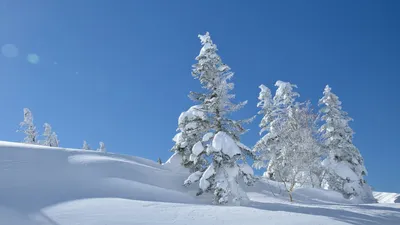 Отдых в Японии зимой: что вас ждет и чем заняться - Япония10.ру - всё про  Японию
