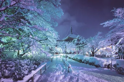 Уютная зима в Японии. Уже хочется снега! #Япония@travel.blog | Добро  пожаловать на Землю! | Фотострана | Пост №1180604415