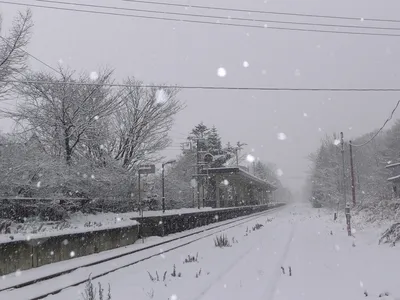 Горнолыжные курорты Японии. Зачем туда ехать кататься и куда именно |  Ассоциация Туроператоров