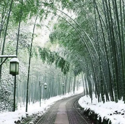 Зима в Японии. | Пикабу