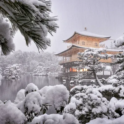 Зима в Японии - обои для рабочего стола, картинки, фото