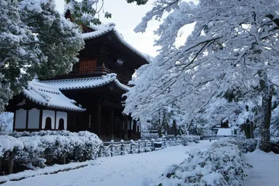 Shirakawago, деревня зимы Японии историческая. - онлайн-пазл