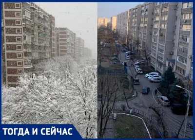 Зима в краснодаре фото фотографии
