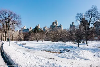 Central Park, зима Нью-Йорк Стоковое Изображение - изображение  насчитывающей центрально, зима: 29452295